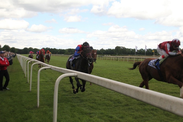Bult VGH2011   108.jpg